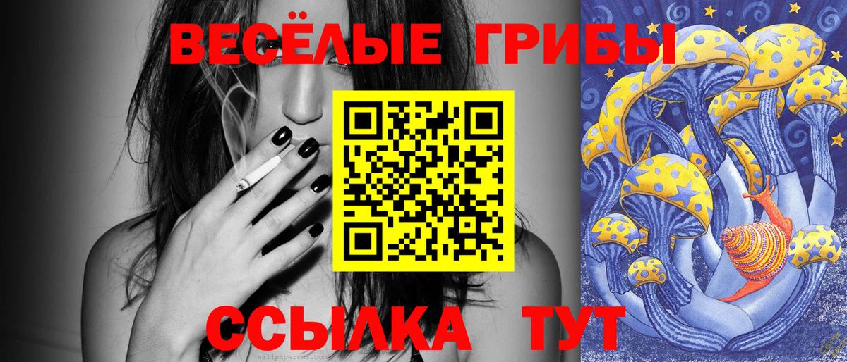 Галлюциногенные грибы мицелий  Вход с VPN  Галлюциногенные грибы прущие грибы  Семёнов 